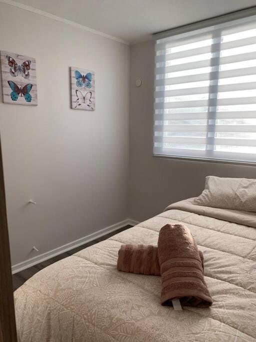 Departamento Centrico En Puerto Varas Eksteriør bilde